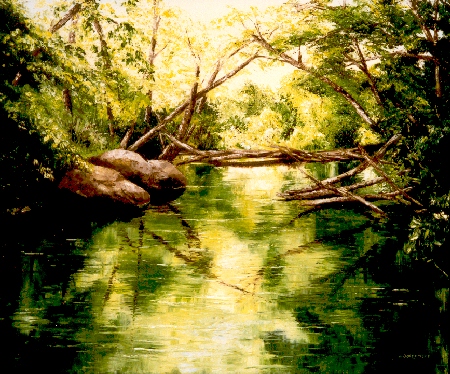 Reflection Upon a Season - Summer