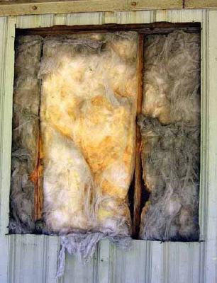 Photograph - Embedded Torso