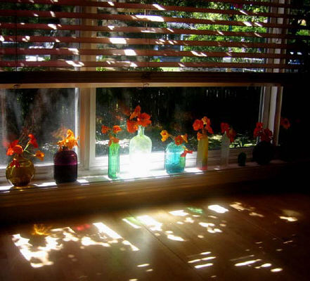 Photograph - Nasturtiums on Sill