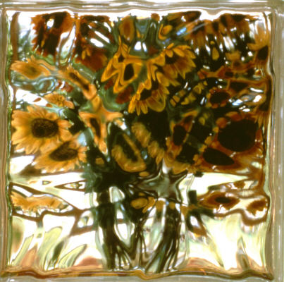 Photograph - Sundulations